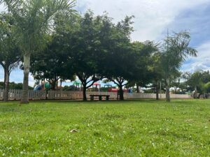 Crônica: ‘O passarinho, Boa Esperança do Norte e a Solidariedade’