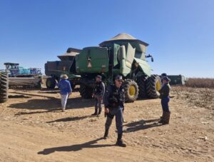 Dois furtos de colhedoras causam prejuízo no campo