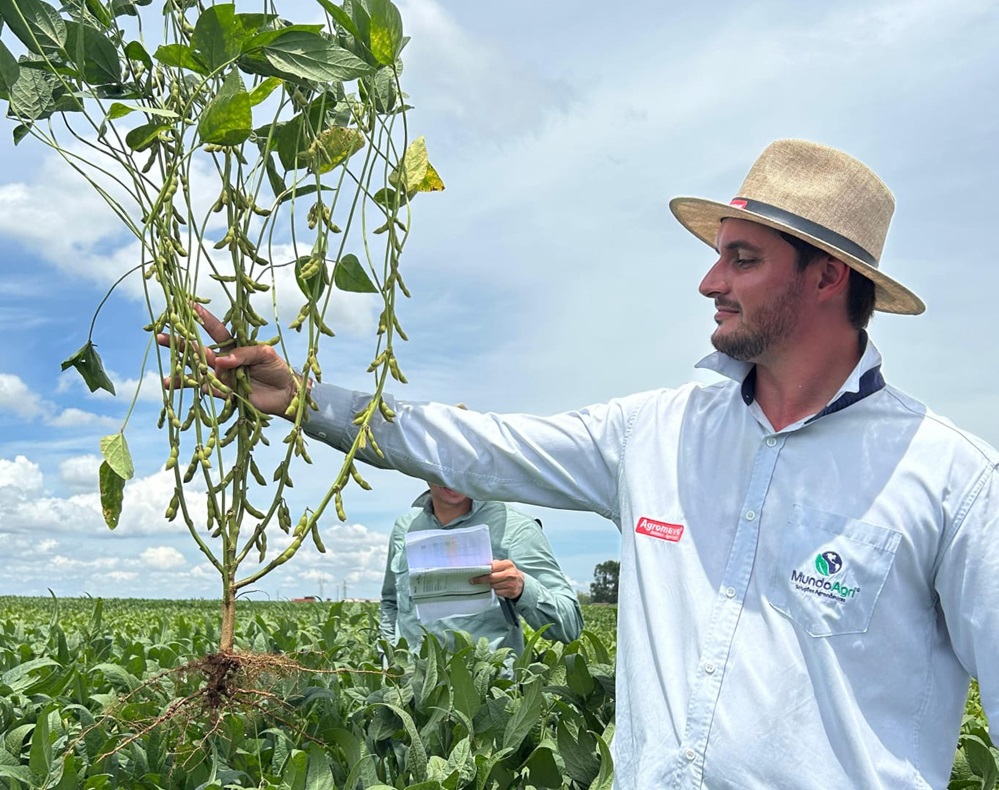 Produtores de MT comemoram suspensão da Moratória da Soja