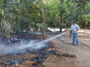 Agricultura familiar deve redobrar cuidados no período da seca