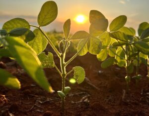 Congresso Prefeitos do Agro tem programação anunciada