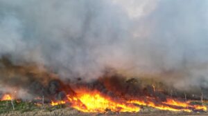 Incêndios preocupam produtores em Boa Esperança e Nova Ubiratã