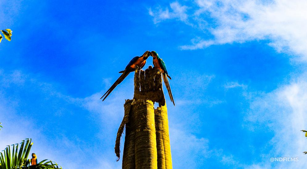 IGR do Portal do Agronegócio discute turismo em Sorriso