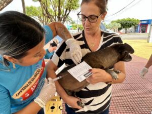 Vacinação Antirrábica em Sorriso protege mais de 15 mil pets