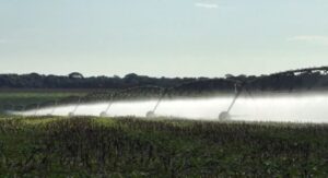 Nova regra pode deixar o feijão mais caro em MT
