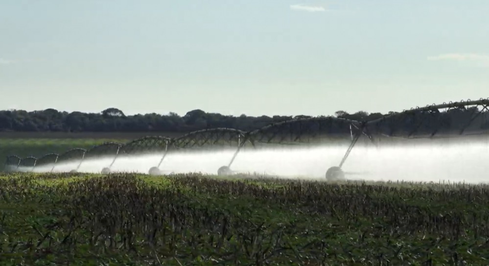Nova regra pode deixar o feijão mais caro em MT