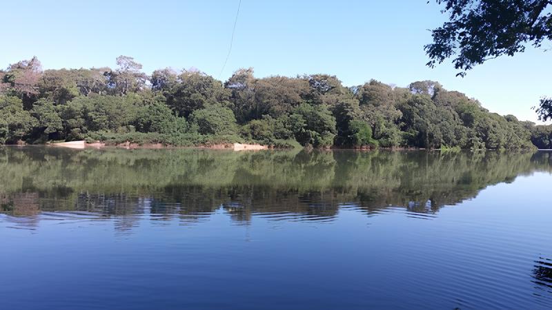 Agricultores de Boa Esperança podem ganhar para proteger a floresta