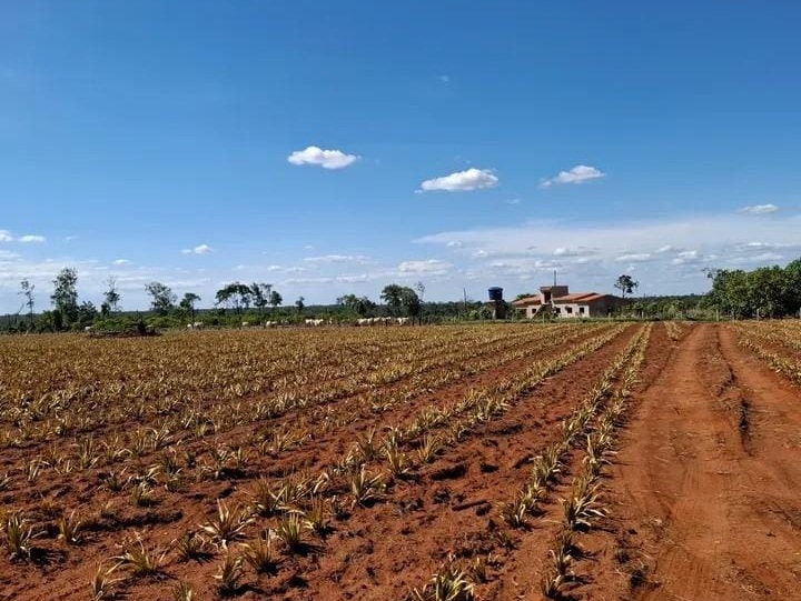 Ordem judicial retira 30 famílias do Assentamento Apronorte