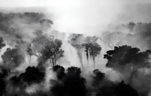 Santa Rita do Trivelato reforça combate às queimadas