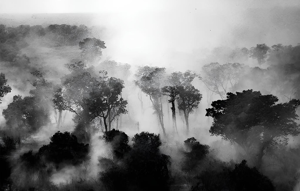 Santa Rita do Trivelato reforça combate às queimadas