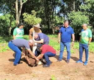 Trivelato inicia Bosque dos Pioneiros com mudas de Ipê Amarelo