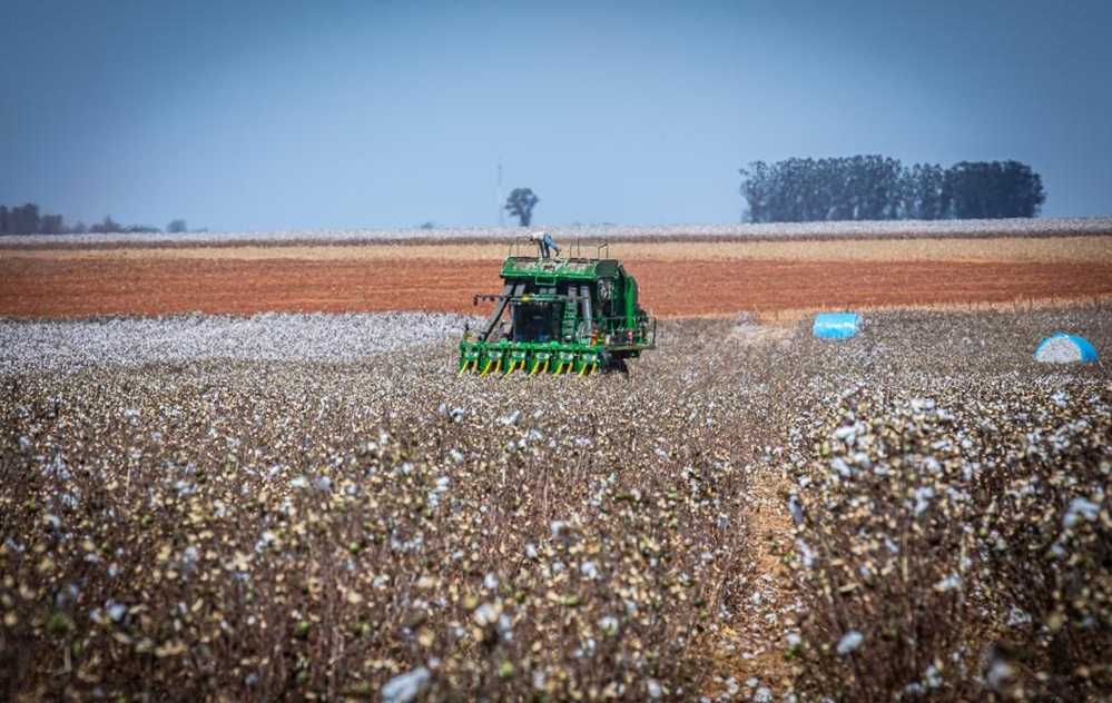 Governo de MT mantém isenção de ICMS para fertilizantes até 2026