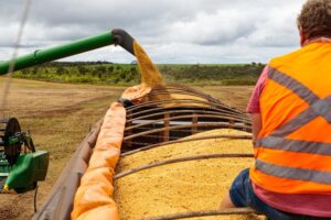 Mato Grosso fecha 2025 como destaque em exportações