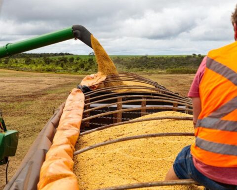Mato Grosso fecha 2025 como destaque em exportações