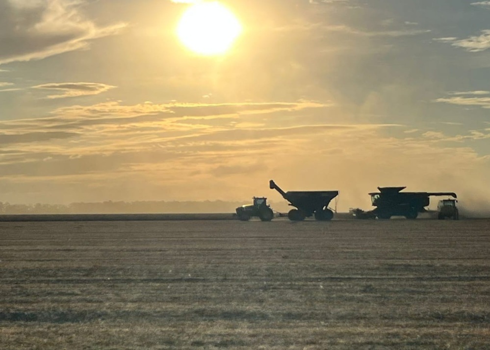 Secretaria de Agricultura visita produtores rurais durante a colheita