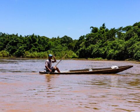 Emissão de Carteira de Pesca Amadora cresce em Mato Grosso