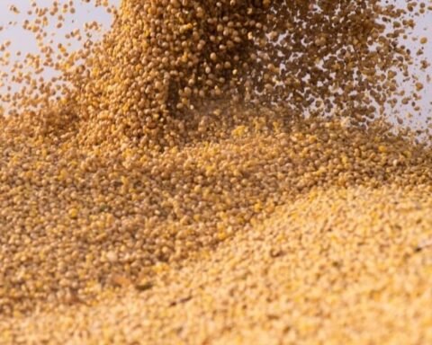 Golpe da soja usa indevidamente nome de empresário de Boa Esperança