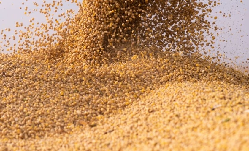 Golpe da soja usa indevidamente nome de empresário de Boa Esperança