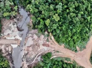 A crônica dos sonhos – ou a ausência de um ‘líder’