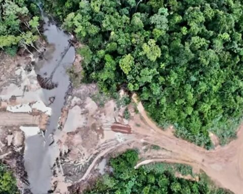 A crônica dos sonhos – ou a ausência de um ‘líder’