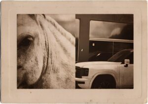 Crônica da Boa Esperança: ‘Entre um tordilho e um carro de luxo’