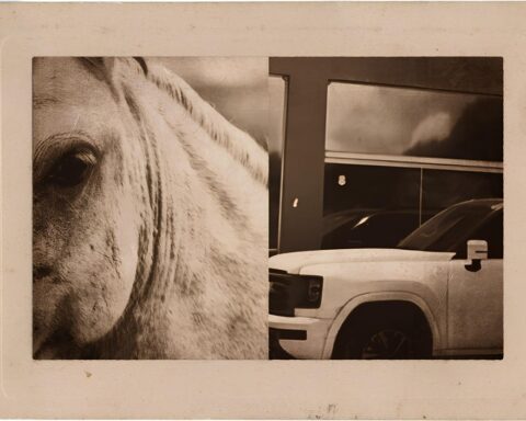 Crônica da Boa Esperança: ‘Entre um tordilho e um carro de luxo’