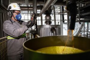 Mato Grosso lidera produção de etanol de milho no Brasil