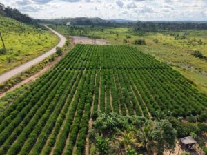 MT Produtivo vai levar apoio a agricultores familiares