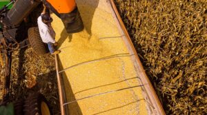 Mato Grosso lidera produção agropecuária no Brasil