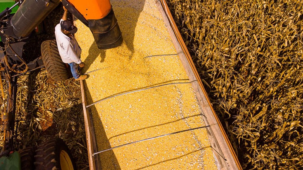 Mato Grosso lidera produção agropecuária no Brasil