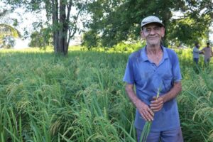 REM MT abre editais com R$ 18,6 milhões para agricultura familiar