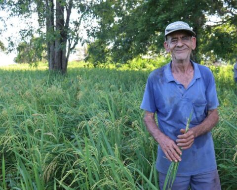REM MT abre editais com R$ 18,6 milhões para agricultura familiar