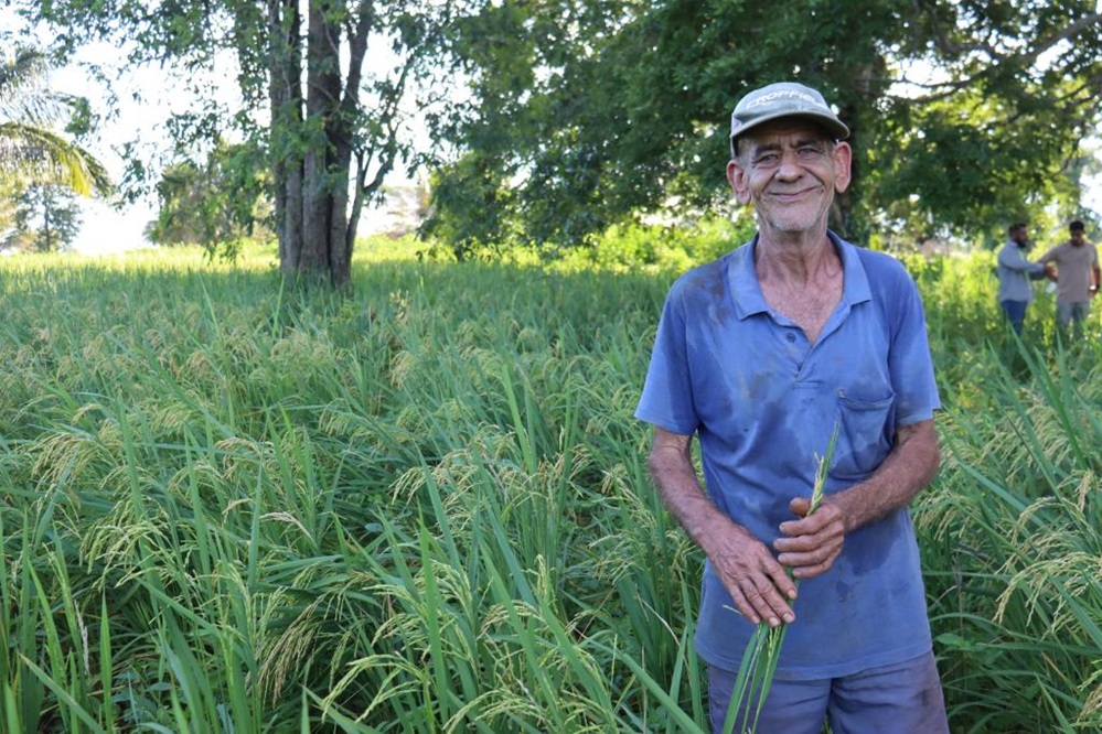 REM MT abre editais com R$ 18,6 milhões para agricultura familiar