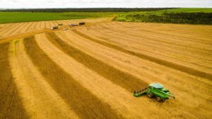 Mato Grosso bate recorde e lidera produção de soja há 26 safras
