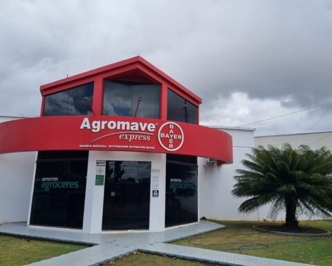 Agromave abre vaga para assistente administrativo em Trivelato