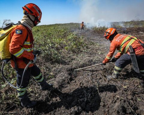Corpo de Bombeiros abre vagas para brigadistas temporários em MT