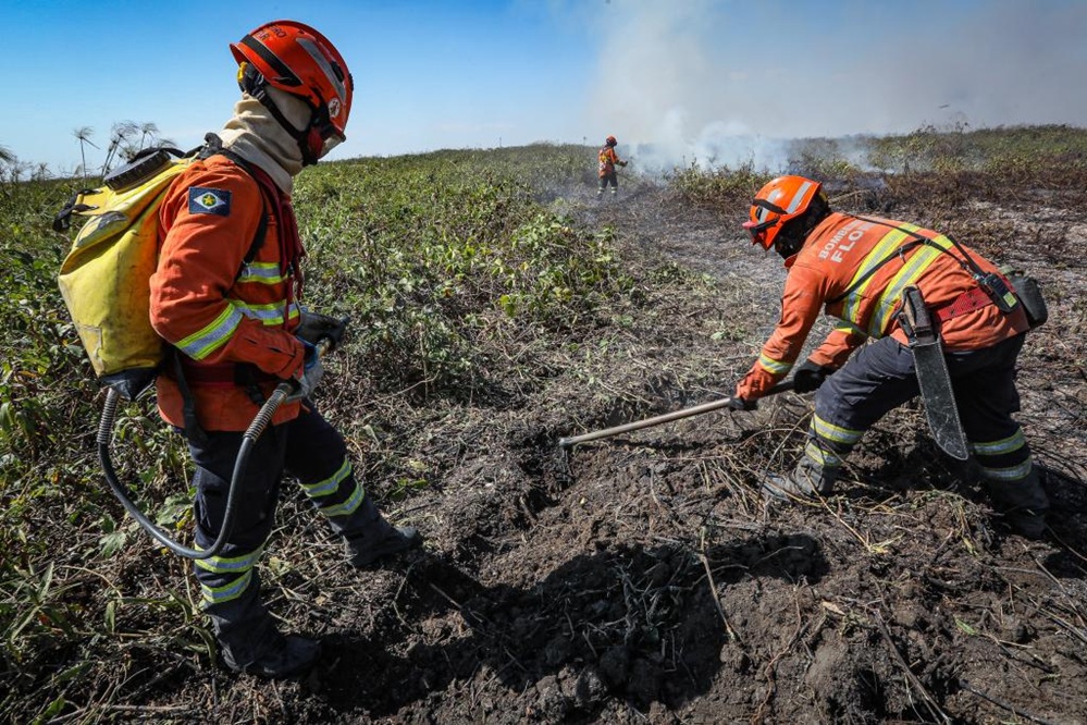 Corpo de Bombeiros abre vagas para brigadistas temporários em MT