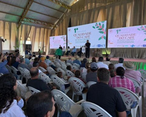 Governo de MT lança concurso para valorizar cafés de excelência