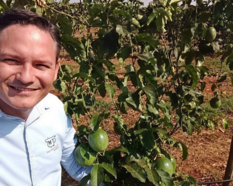 Pesquisa da Unemat cria maracujá adaptado ao clima de MT