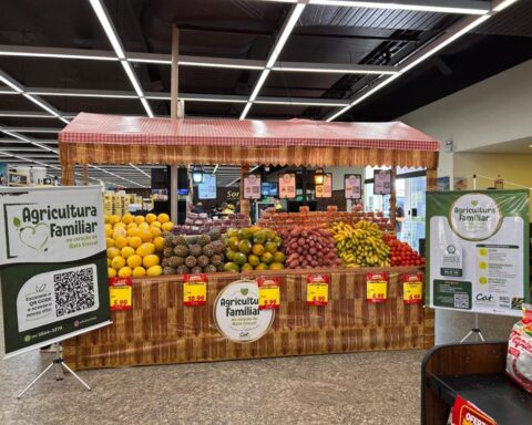 CAT Sorriso leva agricultura familiar ao reconhecimento nacional