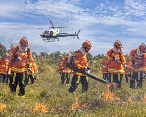 Período proibitivo do fogo começa em MT; bombeiros fazem alerta