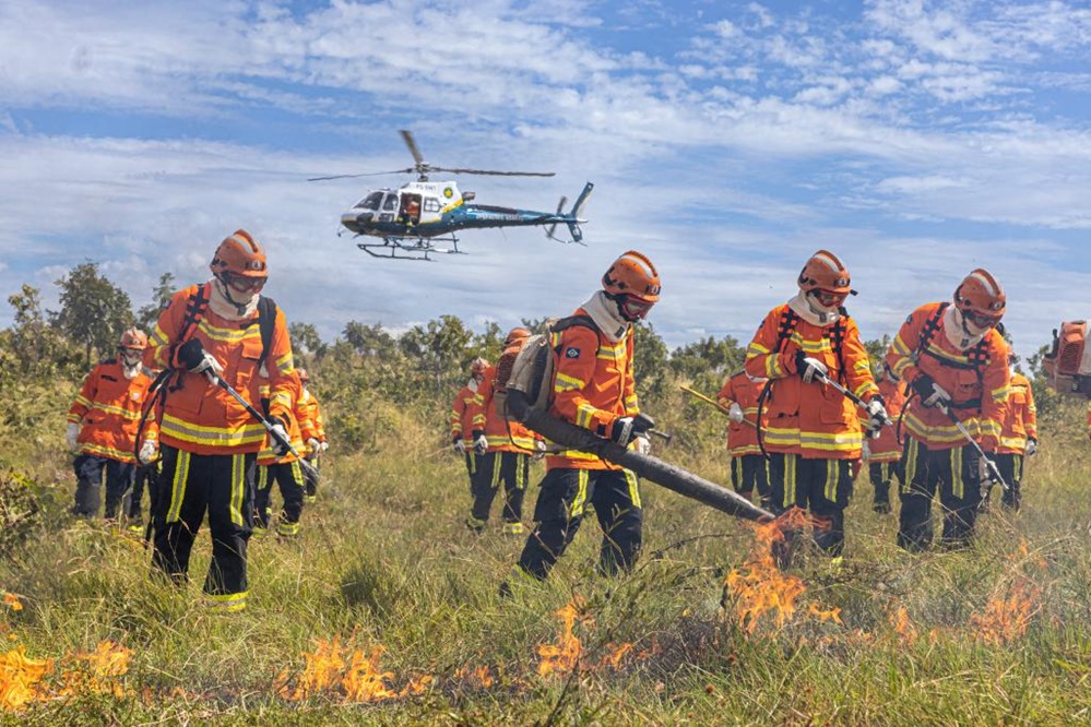 Período proibitivo do fogo começa em MT; bombeiros fazem alerta