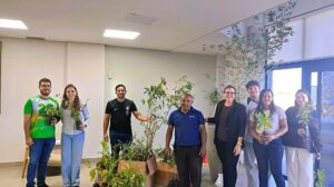 Trivelato incentiva arborização com distribuição de mudas