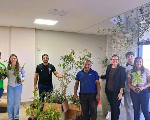 Trivelato incentiva arborização com distribuição de mudas