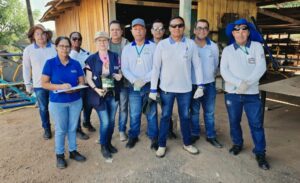Lucas do Rio Verde reforça combate ao Aedes com larvicida