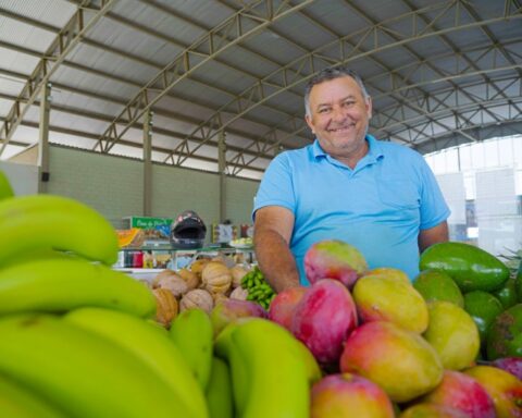 Lucas do Rio Verde avança no Selo Alimenta Cidades