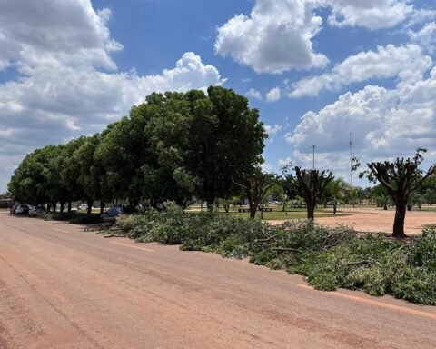 Poda severa de árvores gera críticas em Boa Esperança do Norte