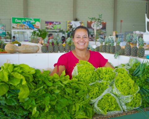 Agricultores de Lucas do Rio Verde podem vender alimentos ao PAA