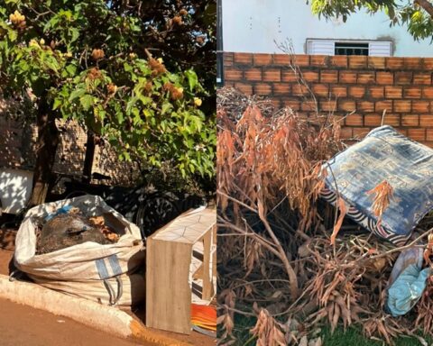Prefeitura inicia retirada de entulhos após reportagem do JBE