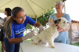 Sorriso já vacinou mais de 16,5 mil cães e gatos contra a raiva